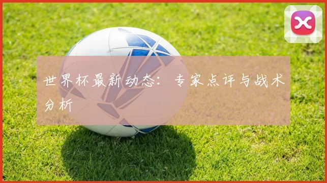 世界杯最新动态:专家点评与战术分析